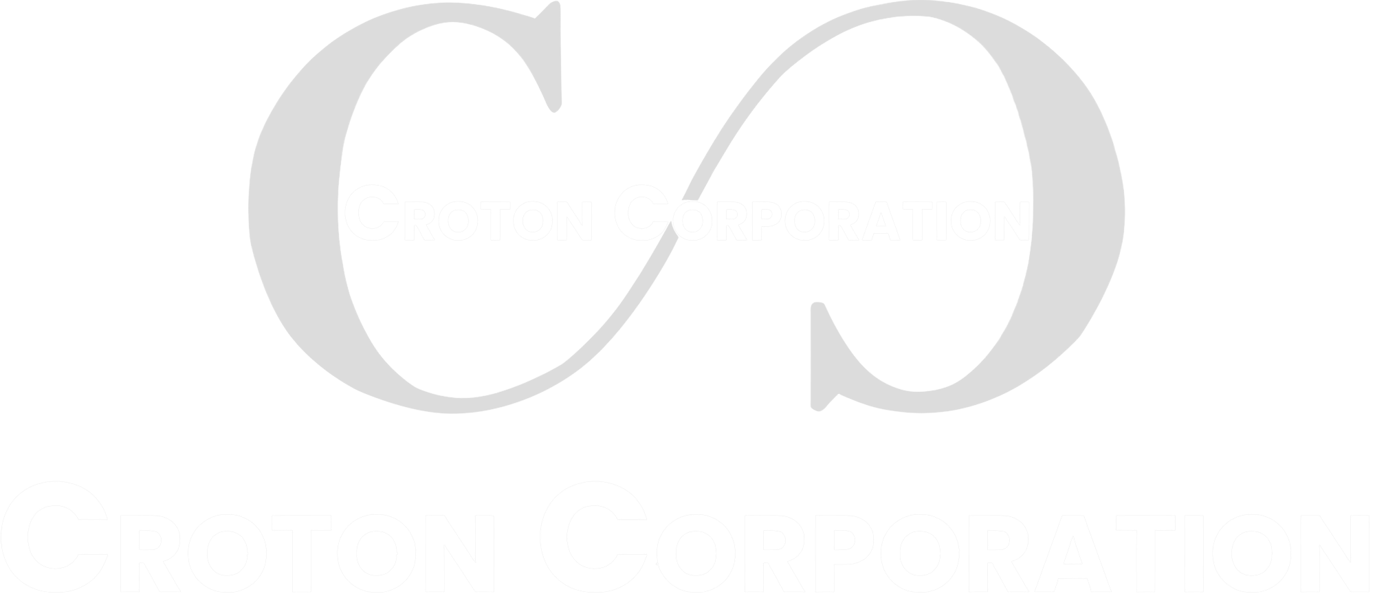 Croton Corporation Surgical